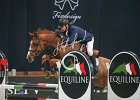 Gulliksen_Grand Balou_Verona2014_SS7_4391.jpg : FIERA CAVALLI 2014, Grand Balou 4, Gulliksen Geir, foto di Stefano Secchi ©
